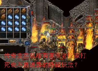 �����̬˽������Щ����Ҵ���Ҳ��Ը͸¶�������淨��