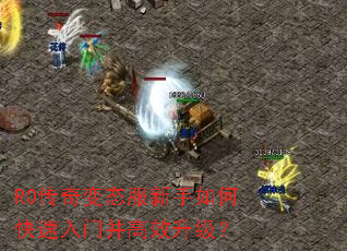 RO�����̬��������ο������Ų���Ч������