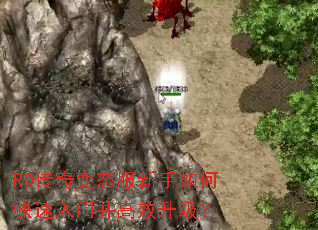 RO�����̬��������ο������Ų���Ч������