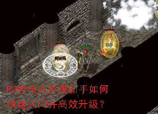 RO�����̬��������ο������Ų���Ч������