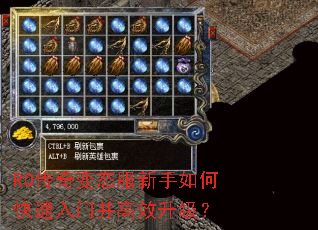 RO�����̬��������ο������Ų���Ч������