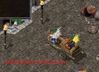 ���ͨ���������ɾ���ʤ����