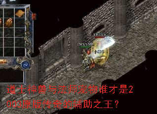 道士神兽与法师宠物谁才是2003原版传奇的辅助之王? 道士神兽与法师宠物谁才是2003原版传奇的辅助之王?