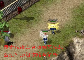 传奇私服归真版幽冥海怎么玩?顶级攻略全解析 传奇私服归真版幽冥海怎么玩?顶级攻略全解析