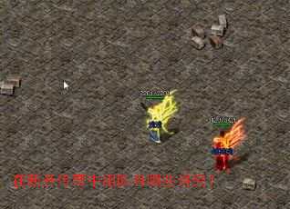 ���¿��������������Щ������