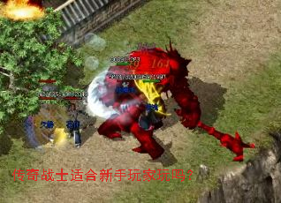 传奇战士适合新手玩家玩吗? 传奇战士适合新手玩家玩吗?