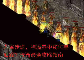 ������;����ħ�������Ѱ��·��������ȫ����ָ��