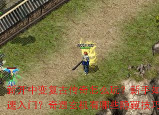 �¿��б临�Ŵ�����ô�棿������ο������ţ�������������Щ���ؼ��ɣ�