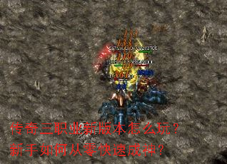 ������ְҵ�°汾��ô�棿������δ�����ٳ���