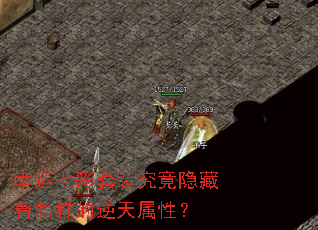 �����߲���װ�����������������������ԣ�