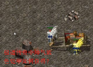 ����������˧����ɫ������λ�ã�