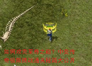 ��ι�������֮�ۣ��б䴫�漫����սͨ���ؼ��󹫿�