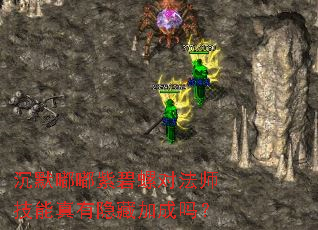 沉默嘟嘟紫碧螺对法师技能真有隐藏加成吗? 沉默嘟嘟紫碧螺对法师技能真有隐藏加成吗?