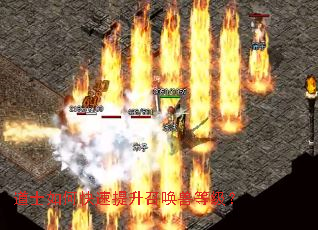 ��ʿ��ο��������ٻ��޵ȼ���