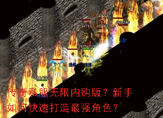传奇私服无限内购版?新手如何快速打造最强角色? 传奇私服无限内购版?新手如何快速打造最强角色?
