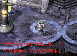 ����˽���۷�����֮�أ���δ����ֿ��ٽ���Ϊ������