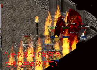 ����˽��������ο��ٽ��Ų���Ч���ģ�