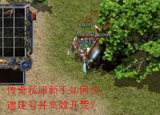 ����˽��������ο��ٽ��Ų���Ч���ģ�