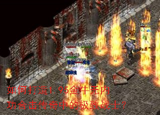 如何打造1.95金牛无内功合击传奇中的极致战士? 如何打造1.95金牛无内功合击传奇中的极致战士?