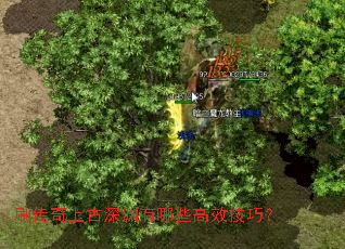 ˢ�����Ϲ���Ԩ����Щ��Ч���ɣ�