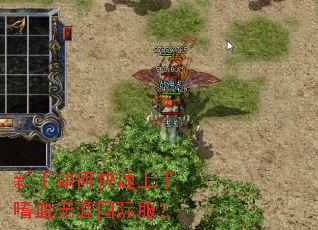 ������ο���������Ѫ���Ĺ��ʷ���