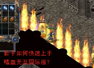 ������ο���������Ѫ���Ĺ��ʷ���