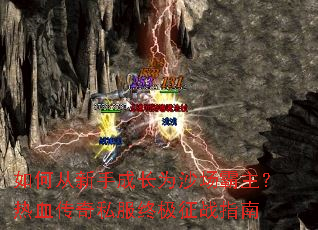 ��δ����ֳɳ�Ϊɳ����������Ѫ����˽���ռ���սָ��