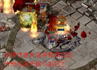 ��ο����������ưԱ�̬����˽�������и�����