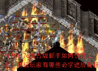 ����1.76���Ű�������ο������֣��ռ��������Щ��ѧ�����ؼ���