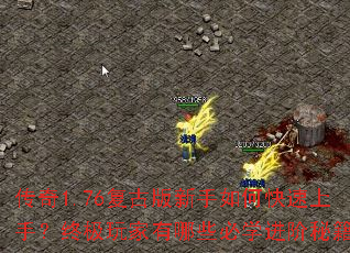 ����1.76���Ű�������ο������֣��ռ��������Щ��ѧ�����ؼ���