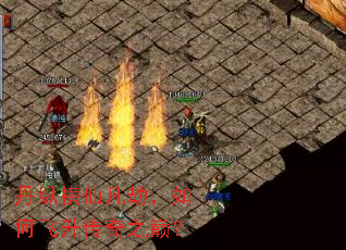 ���ݺ��ɷ��٣���η�������֮�ۣ�