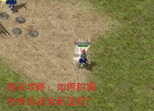 ���ҹ��ԣ���γưԴ���˽��ȫ�����̣�