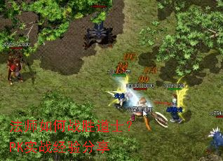 ��ʦ���սʤ��ʿ��PKʵս�������