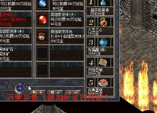 �������޷ɽ����ʡǮ������