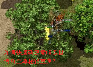 ��ο���ն���۷�������������ؼ����䣿