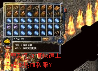 ����������ο������ֳ�����Ѫ˽����