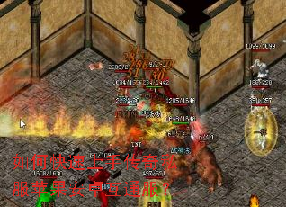 ��ο������ִ���˽��ƻ����׿��ͨ����