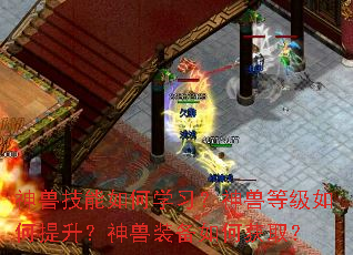 ���޼������ѧϰ�����޵ȼ��������������װ����λ�ȡ��