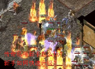 ����˽��������ô�棿������ο���������