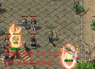 ����˽��������ô�棿������ο���������