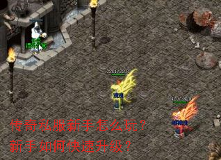 ����˽��������ô�棿������ο���������