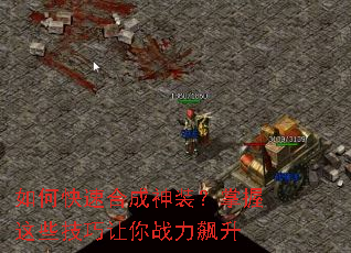 ��ο��ٺϳ���װ��������Щ��������ս�����