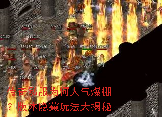 ����˽��Ϊ����������汾�����淨�����