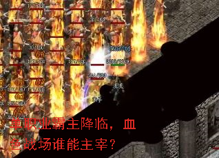 ��ְҵ�������٣�Ѫɫս��˭�����ף�