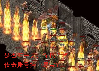 �Ƿ���һ�죬��Ҳ�Ὣ�����˺Ź���Ѱ����