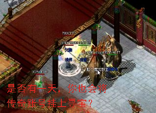 �Ƿ���һ�죬��Ҳ�Ὣ�����˺Ź���Ѱ����