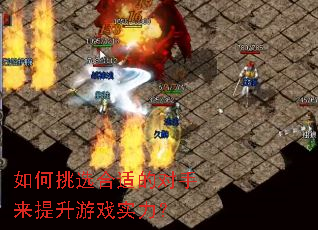 �����ѡ���ʵĶ�����������Ϸʵ����