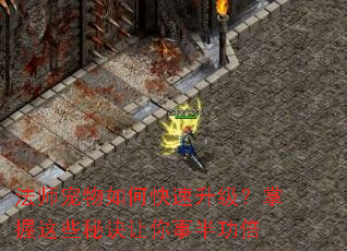 ��ʦ������ο���������������Щ�ؾ������°빦��