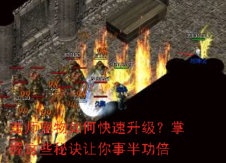 ��ʦ������ο���������������Щ�ؾ������°빦��