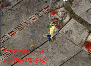 ��ο���������ʿ���ٻ����޵ȼ���